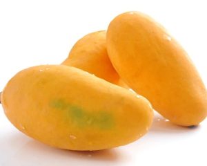 Chausa Mangoes (9/12 pcs)