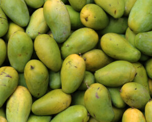 Dasheri Mango (9-12 pcs)