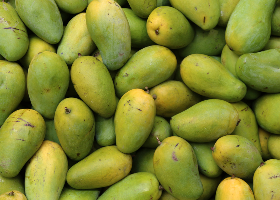 Dasheri Mango (9-12 pcs)